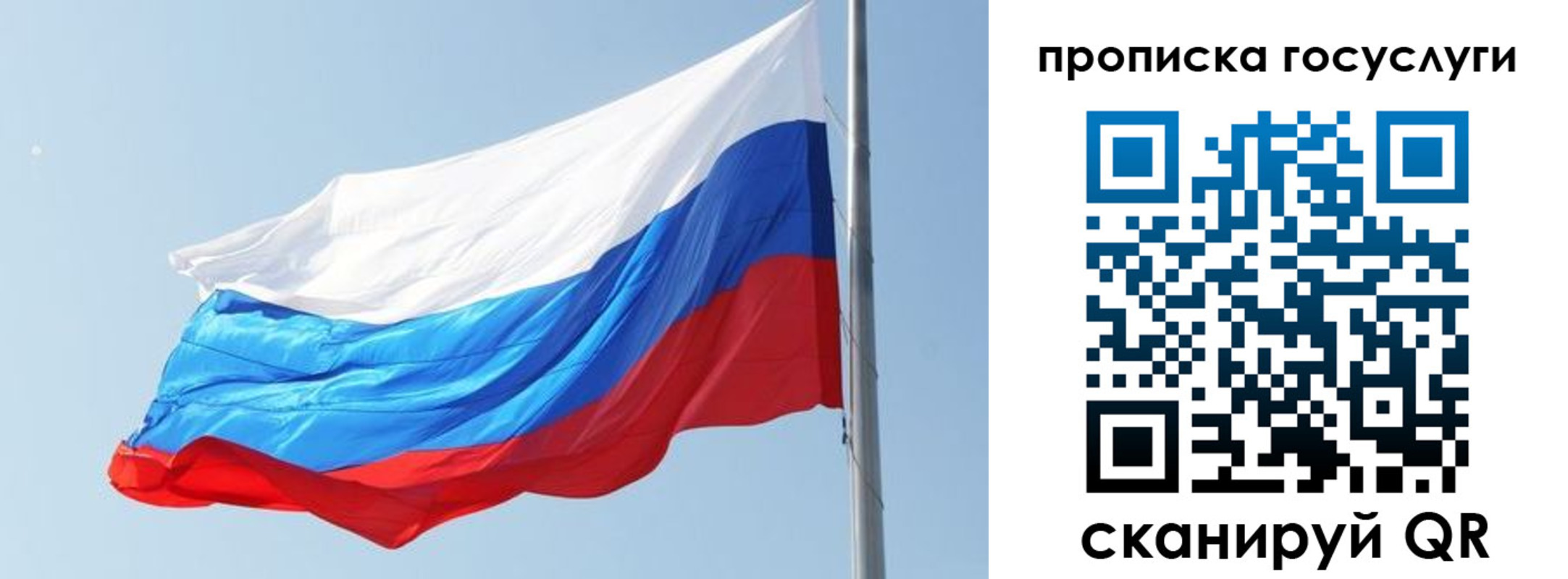 временная регистрация надежно в Владимире